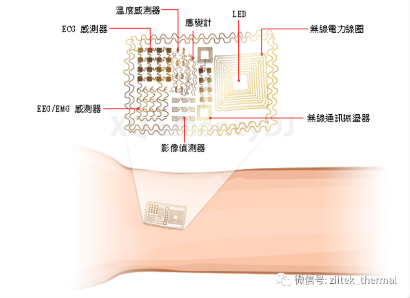 電子皮膚產品圖